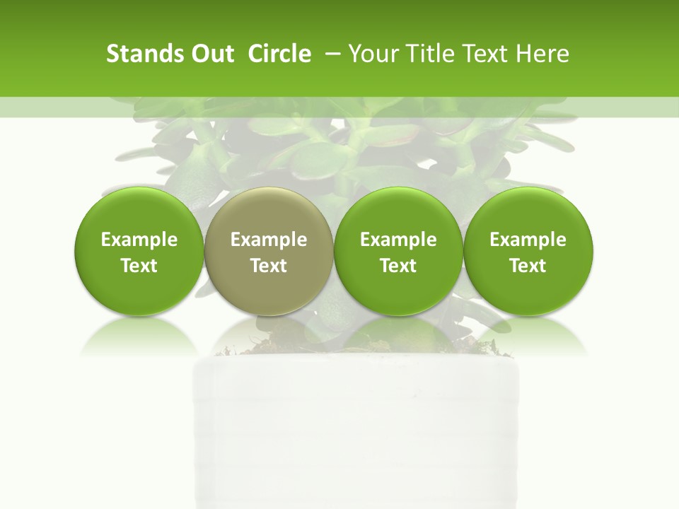 Floral Indoor Color PowerPoint Template