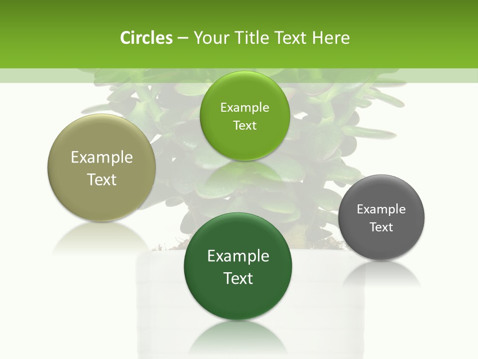 Floral Indoor Color PowerPoint Template