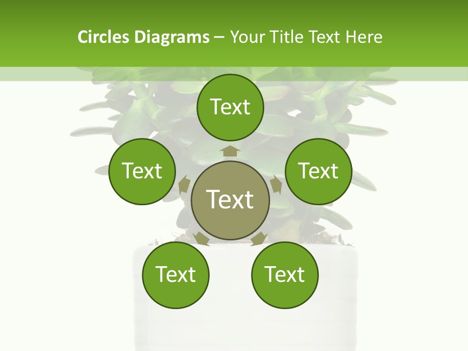 Floral Indoor Color PowerPoint Template