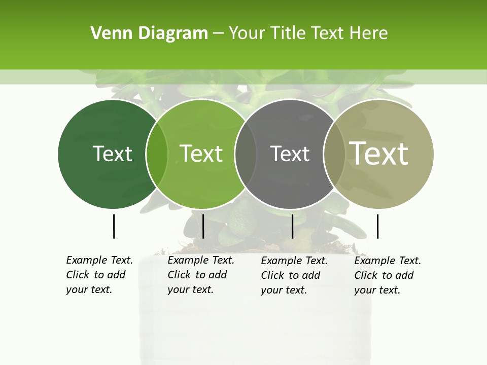 Floral Indoor Color PowerPoint Template