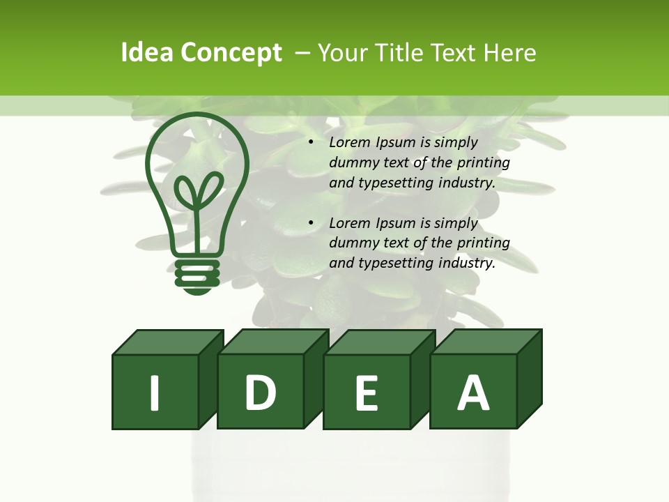 Floral Indoor Color PowerPoint Template