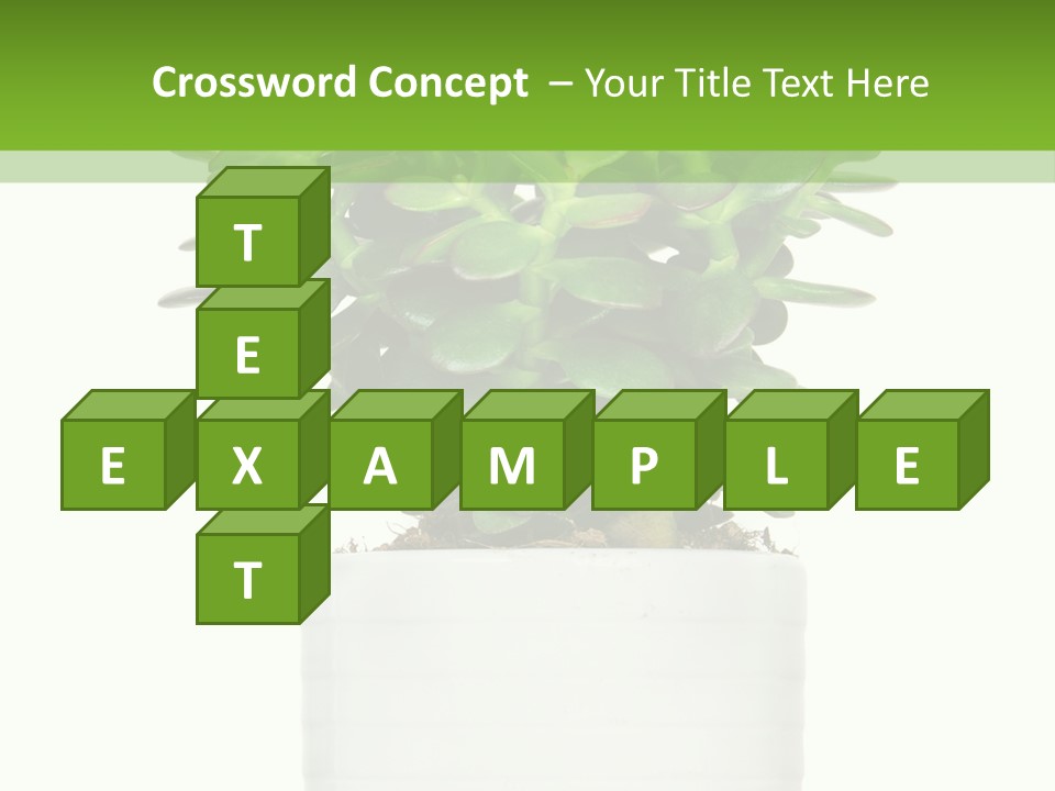 Floral Indoor Color PowerPoint Template