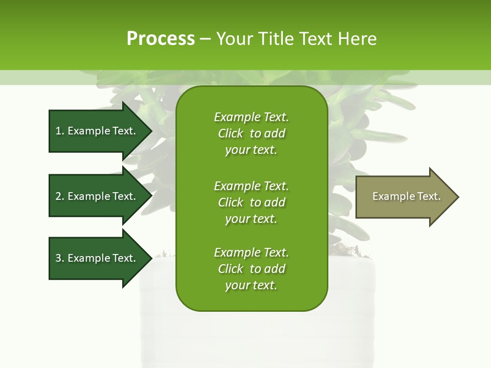 Floral Indoor Color PowerPoint Template