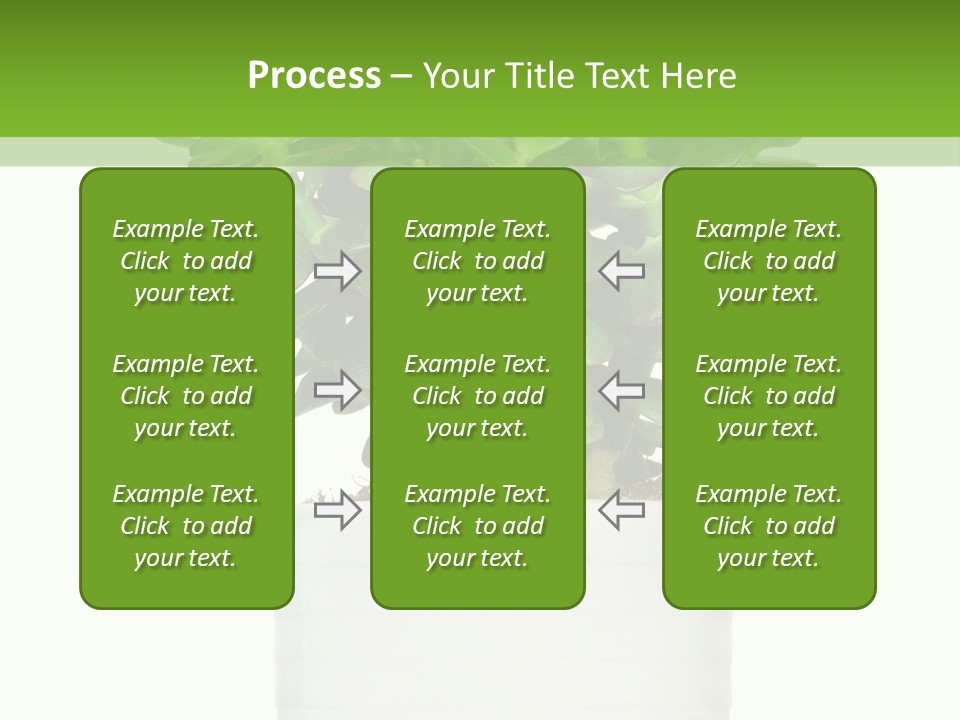 Floral Indoor Color PowerPoint Template