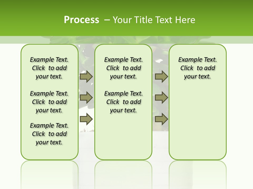 Floral Indoor Color PowerPoint Template