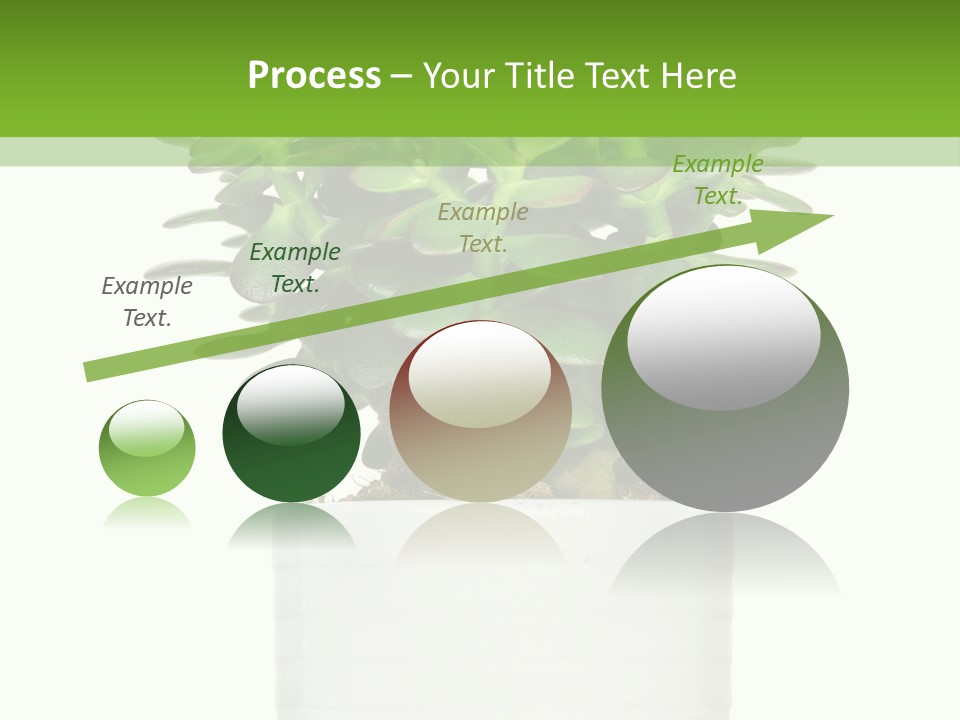 Floral Indoor Color PowerPoint Template