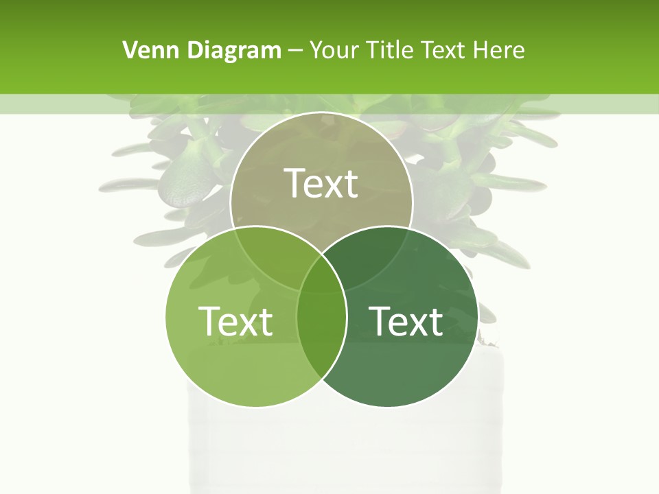 Floral Indoor Color PowerPoint Template