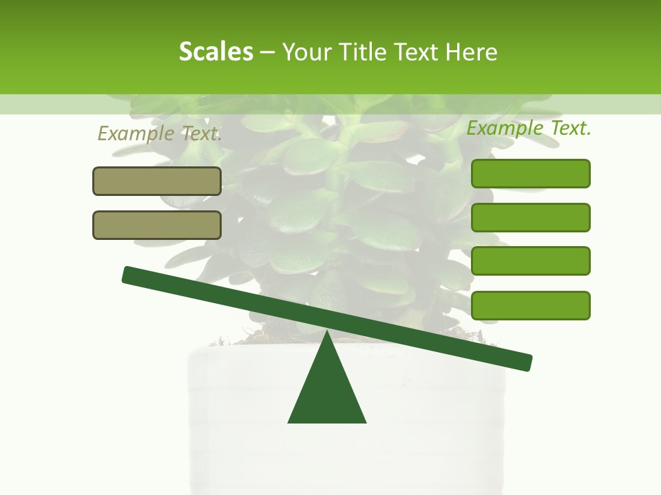 Floral Indoor Color PowerPoint Template