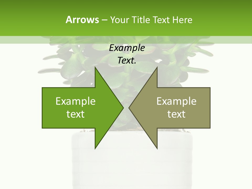 Floral Indoor Color PowerPoint Template