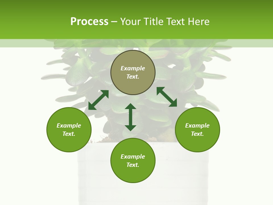 Floral Indoor Color PowerPoint Template