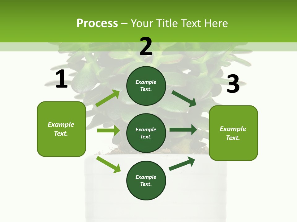 Floral Indoor Color PowerPoint Template