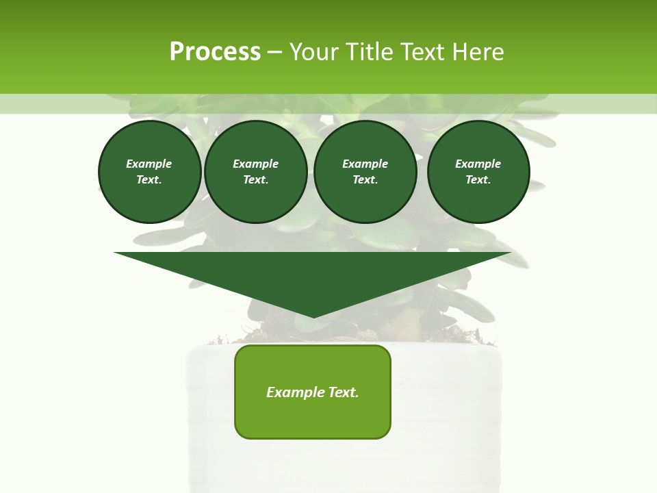 Floral Indoor Color PowerPoint Template