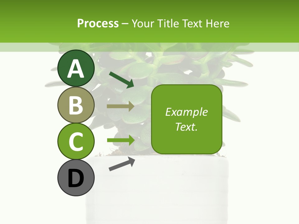 Floral Indoor Color PowerPoint Template