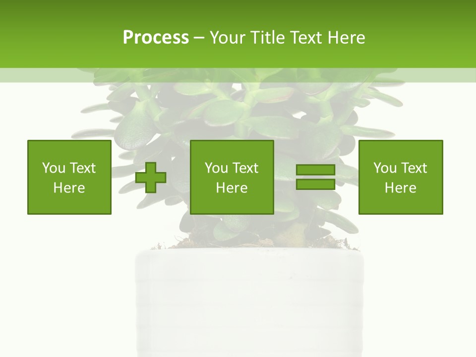 Floral Indoor Color PowerPoint Template