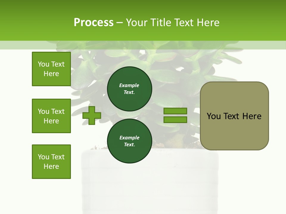 Floral Indoor Color PowerPoint Template