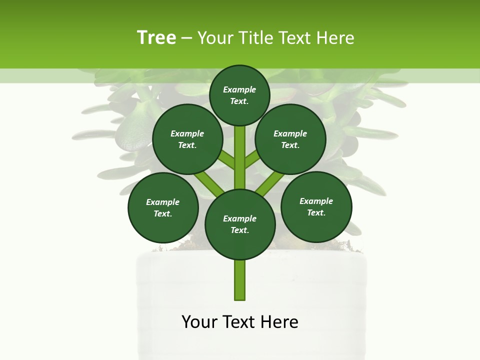 Floral Indoor Color PowerPoint Template