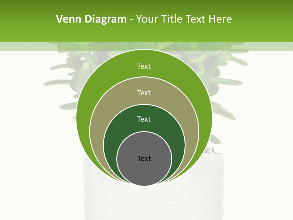 Floral Indoor Color PowerPoint Template