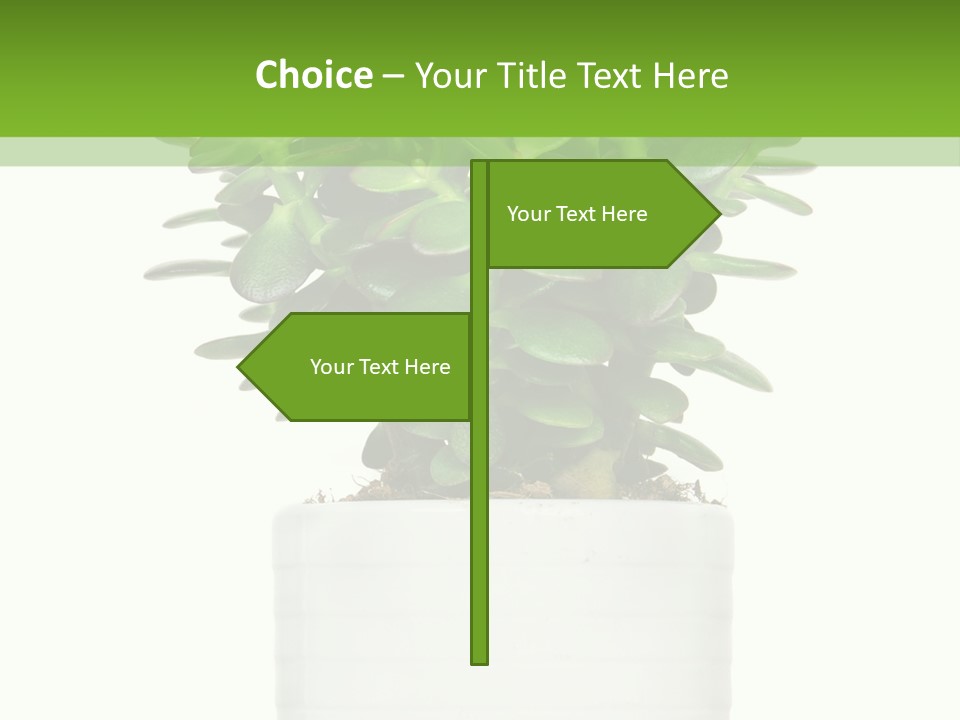 Floral Indoor Color PowerPoint Template