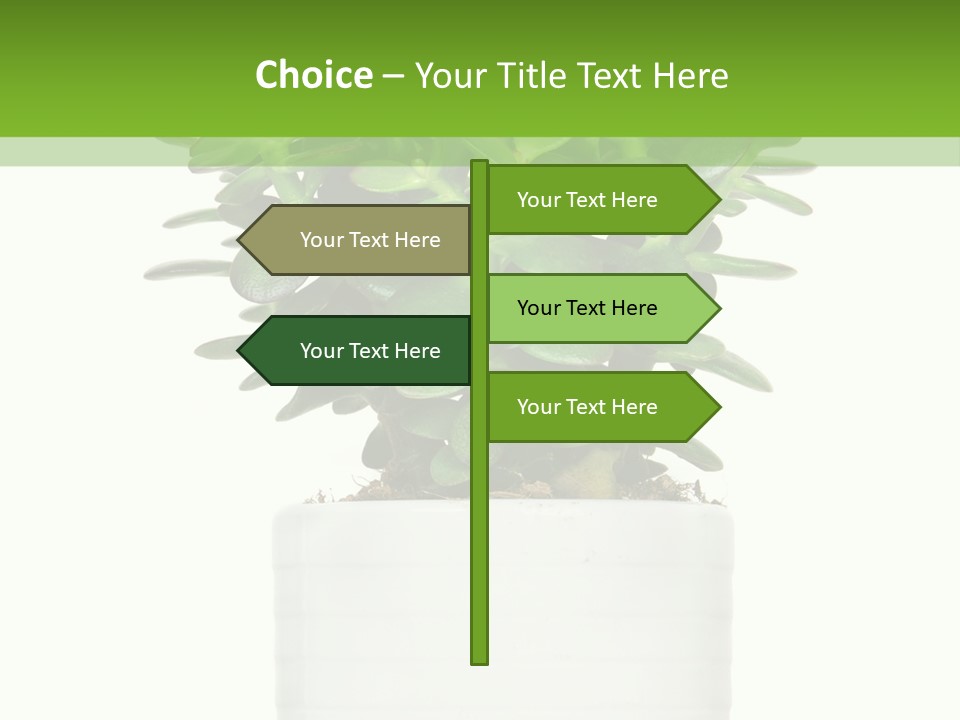 Floral Indoor Color PowerPoint Template