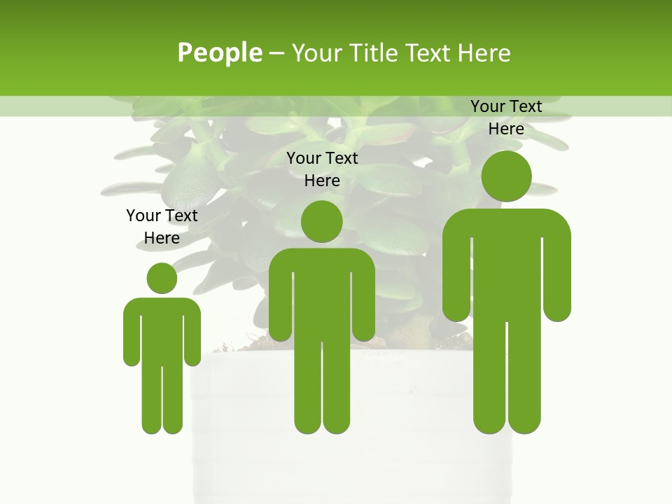 Floral Indoor Color PowerPoint Template