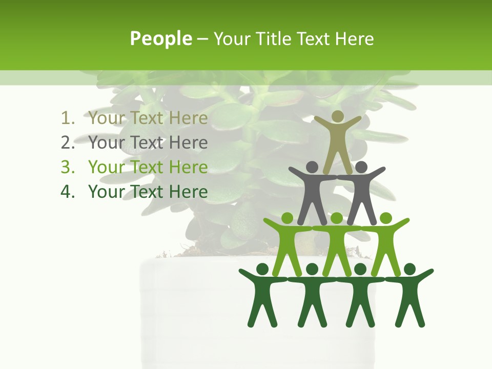 Floral Indoor Color PowerPoint Template