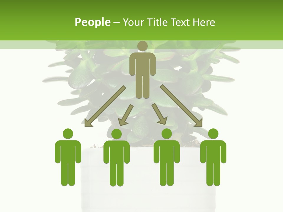 Floral Indoor Color PowerPoint Template