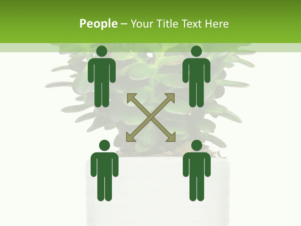 Floral Indoor Color PowerPoint Template