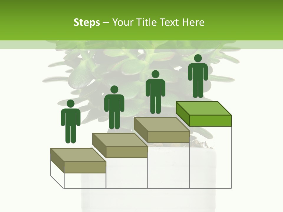 Floral Indoor Color PowerPoint Template