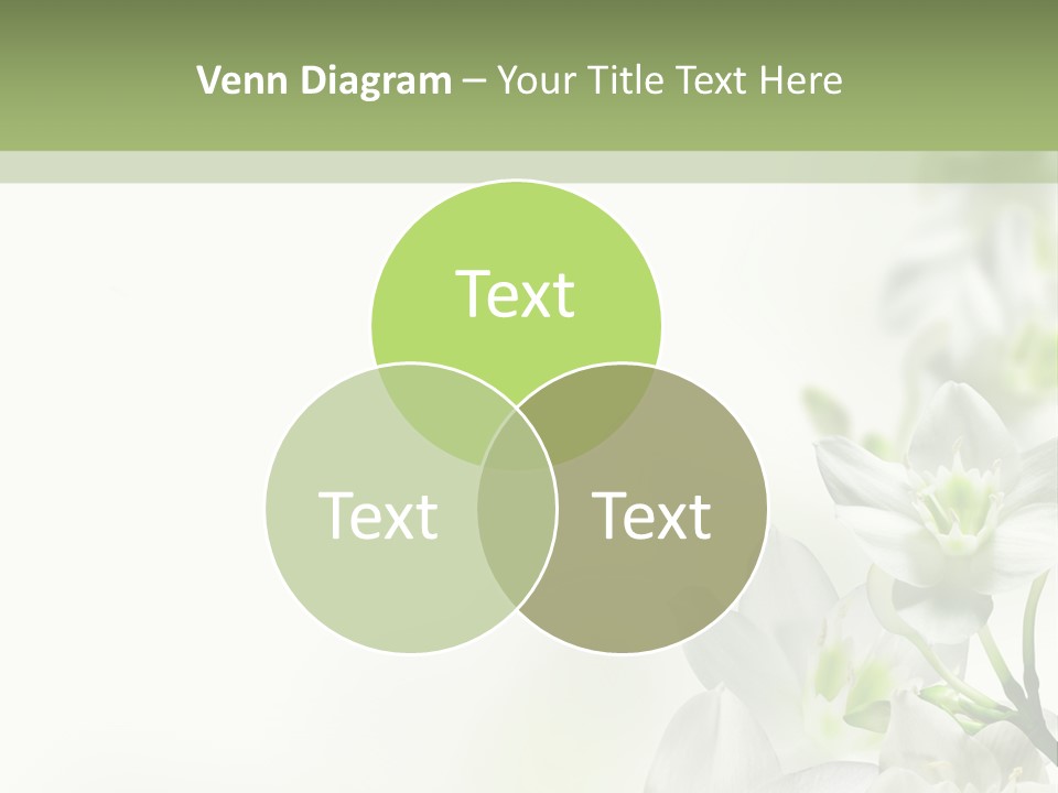 White Abstract Close PowerPoint Template