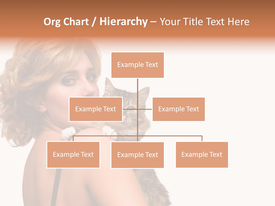 Pet Model Cat PowerPoint Template