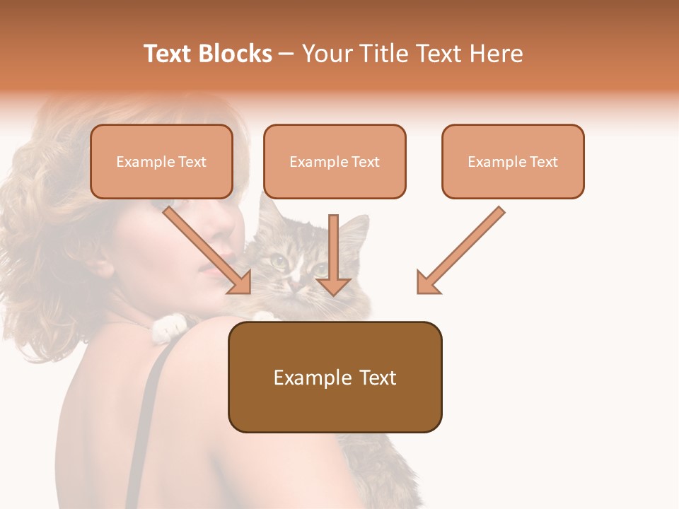 Pet Model Cat PowerPoint Template