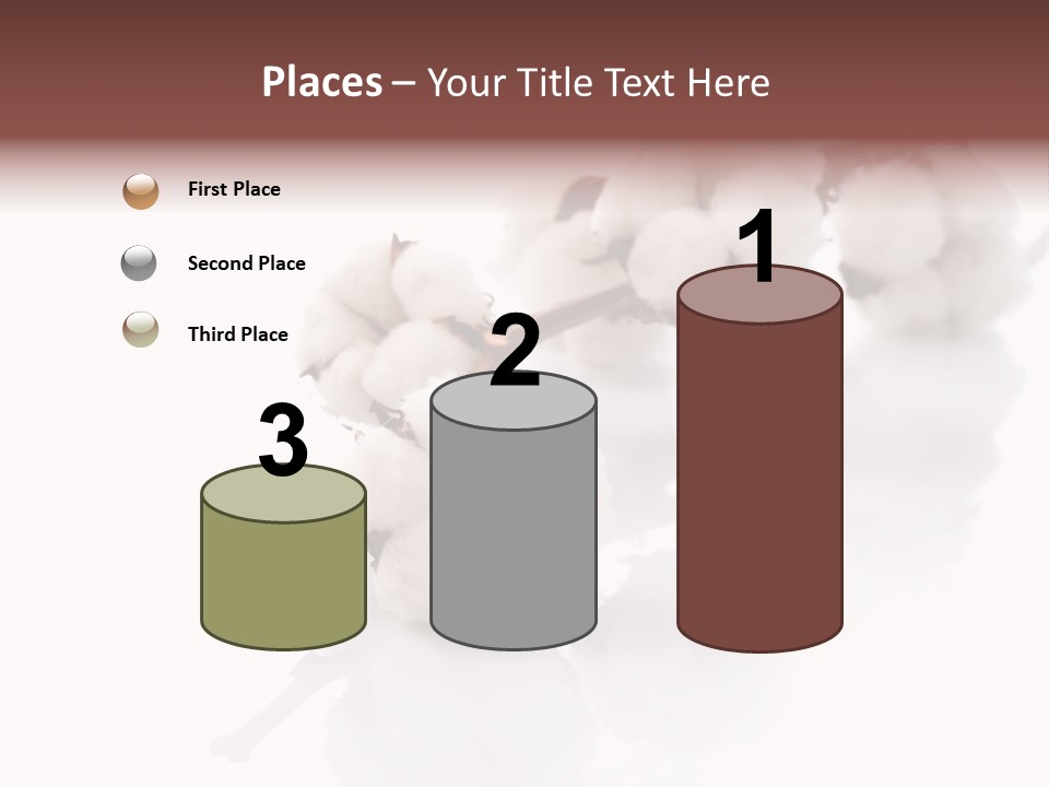 A Cotton Plant With A White Background PowerPoint Template