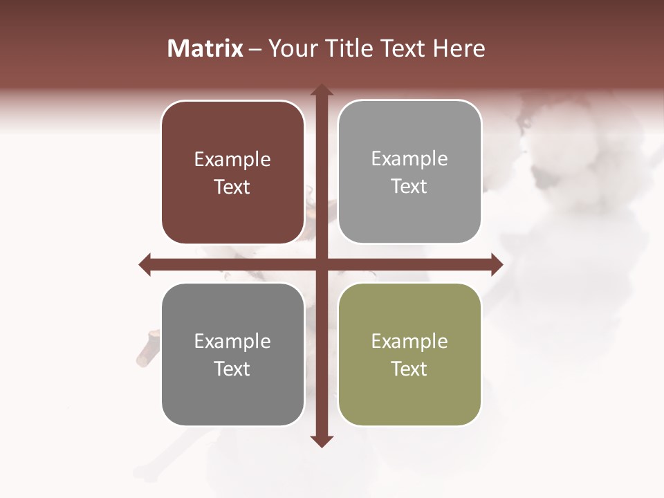 A Cotton Plant With A White Background PowerPoint Template