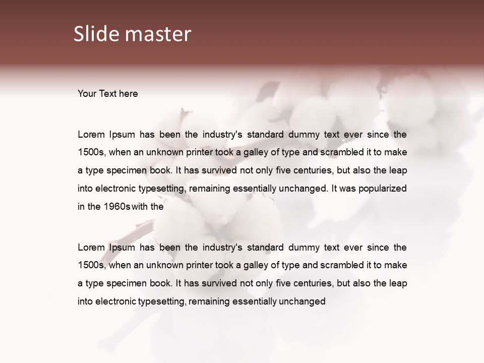 A Cotton Plant With A White Background PowerPoint Template