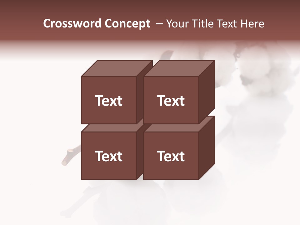 A Cotton Plant With A White Background PowerPoint Template