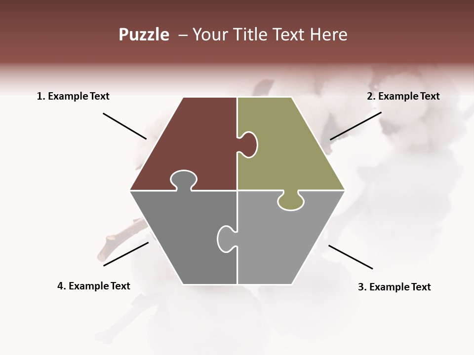 A Cotton Plant With A White Background PowerPoint Template