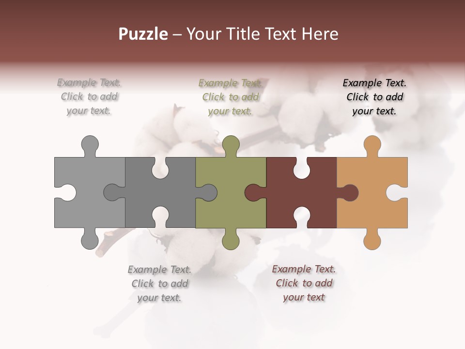 A Cotton Plant With A White Background PowerPoint Template