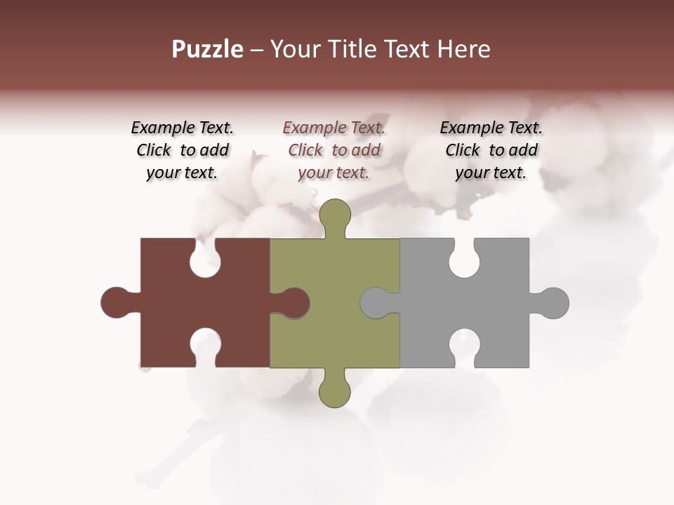 A Cotton Plant With A White Background PowerPoint Template