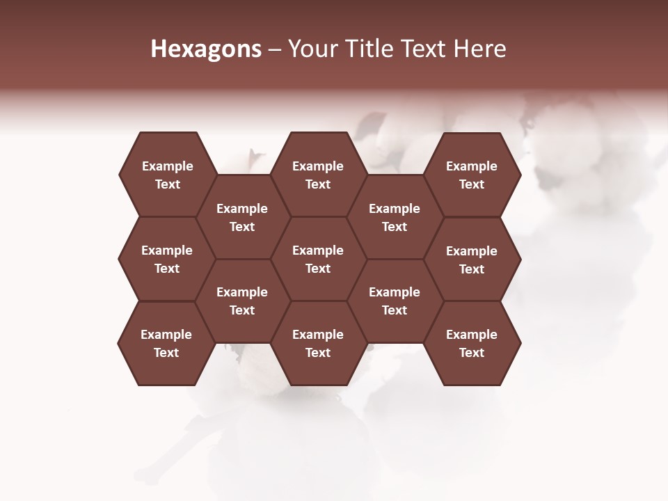 A Cotton Plant With A White Background PowerPoint Template