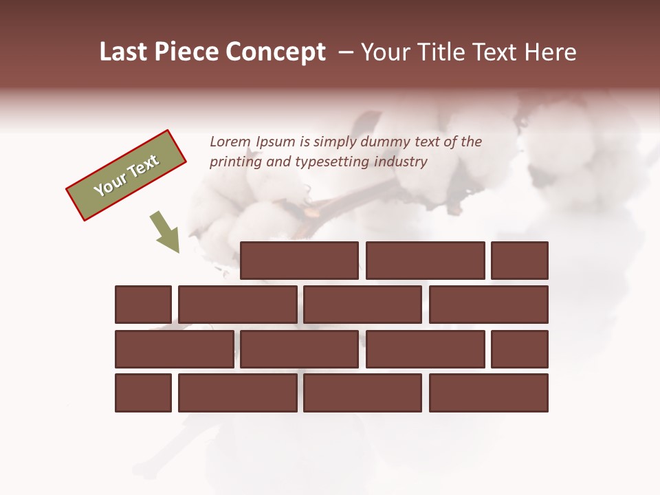 A Cotton Plant With A White Background PowerPoint Template