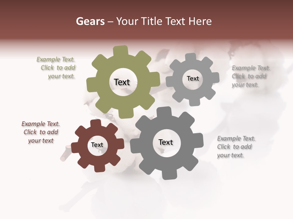 A Cotton Plant With A White Background PowerPoint Template