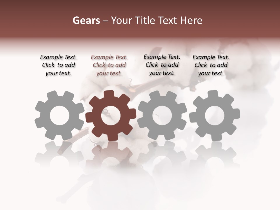 A Cotton Plant With A White Background PowerPoint Template