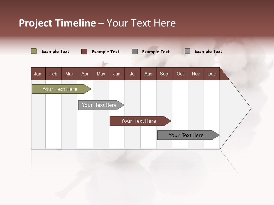 A Cotton Plant With A White Background PowerPoint Template