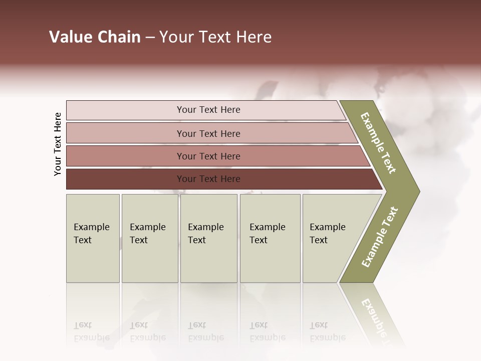A Cotton Plant With A White Background PowerPoint Template