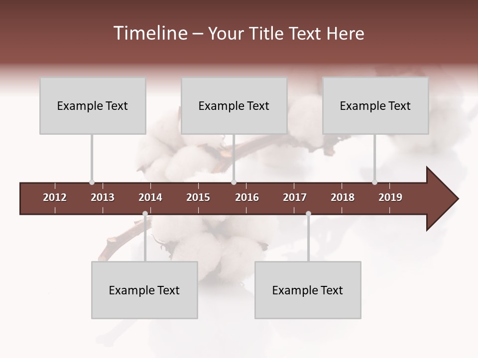 A Cotton Plant With A White Background PowerPoint Template