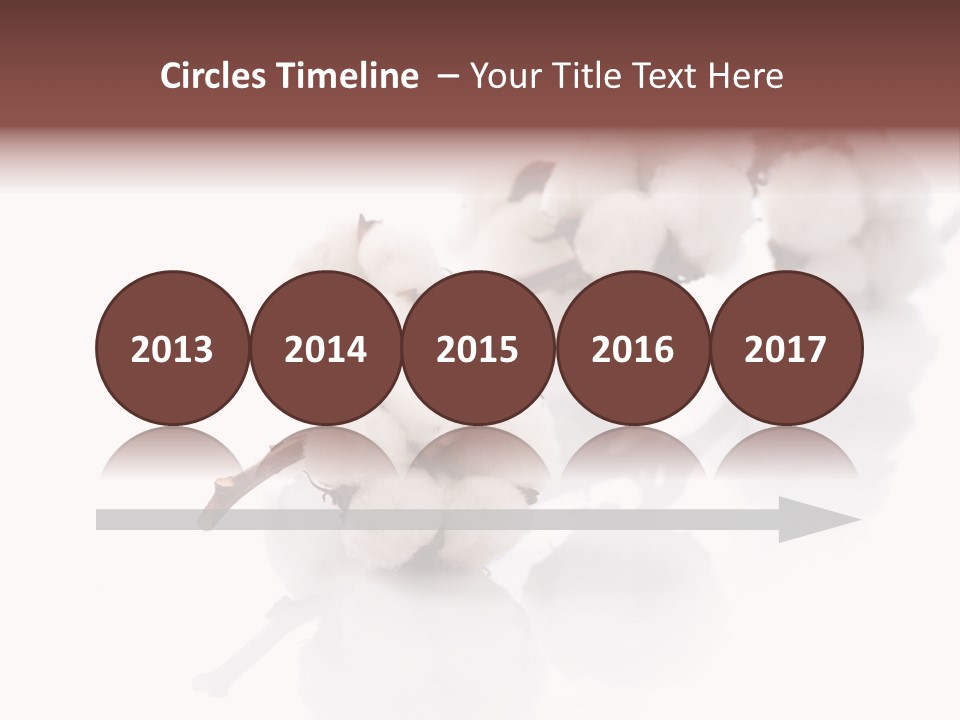 A Cotton Plant With A White Background PowerPoint Template