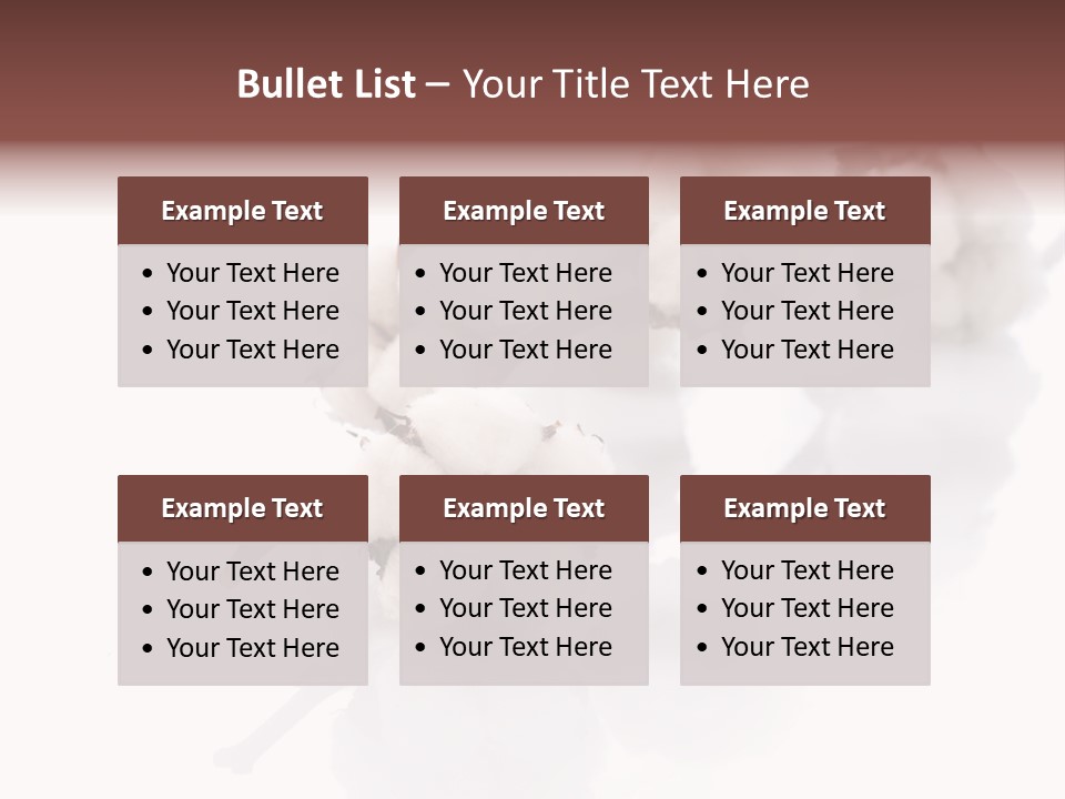 A Cotton Plant With A White Background PowerPoint Template