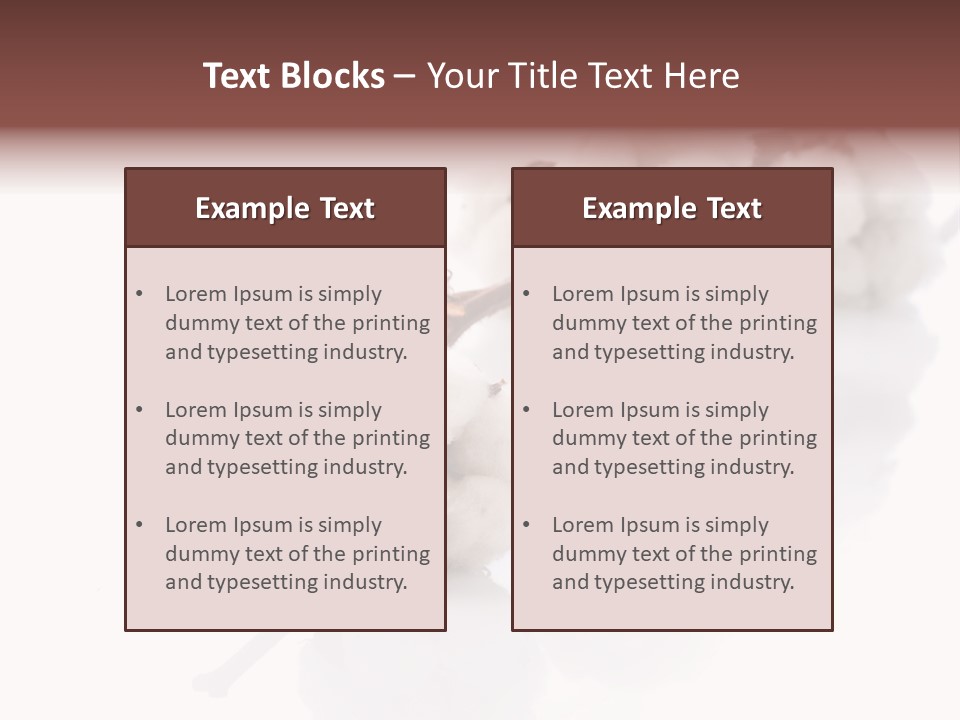 A Cotton Plant With A White Background PowerPoint Template