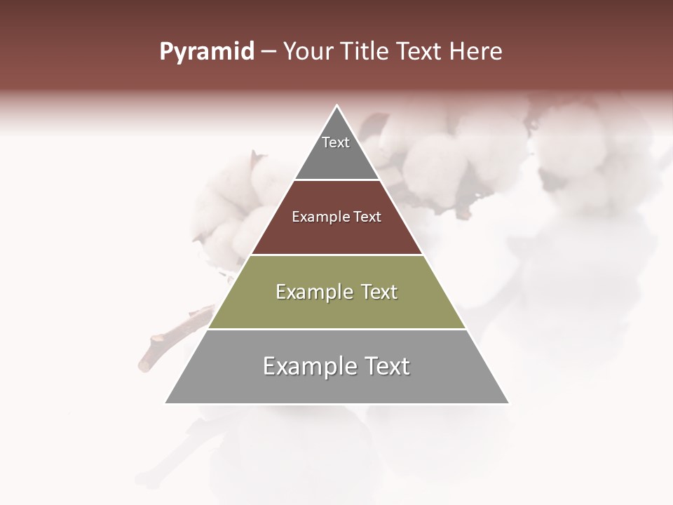 A Cotton Plant With A White Background PowerPoint Template