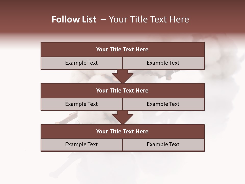 A Cotton Plant With A White Background PowerPoint Template